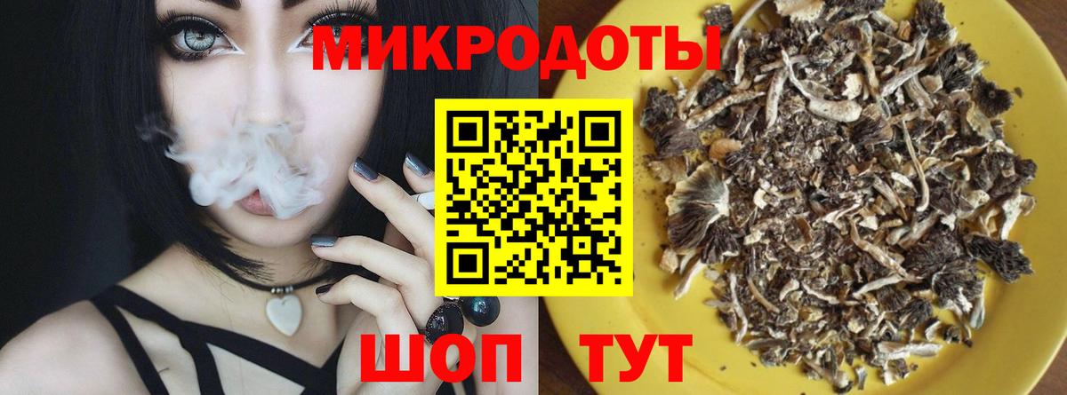 Псилоцибиновые грибы Psilocybine cubensis  Вход с VPN  Унеча 