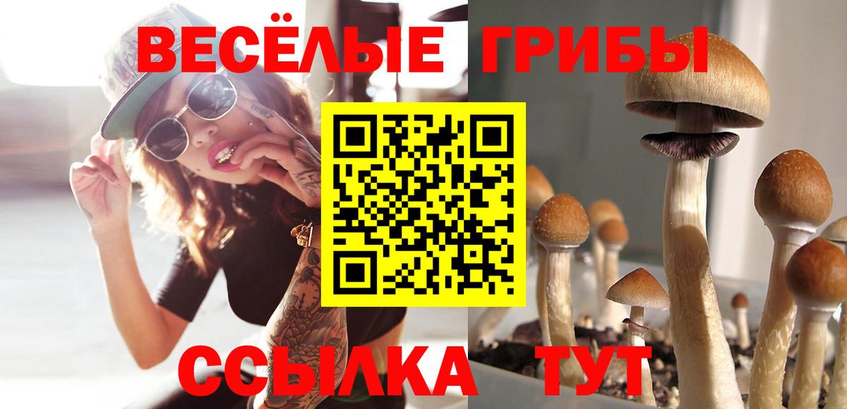 Галлюциногенные грибы прущие грибы Унеча